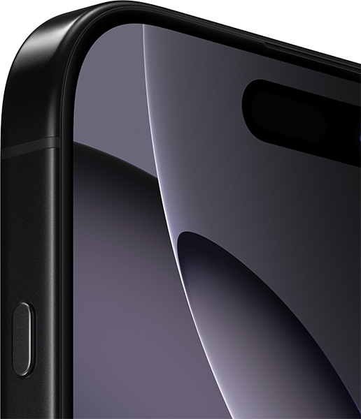Apple iPhone 16 Pro Max 256GB Titan Schwarz #4